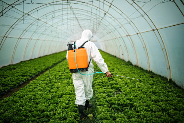 Murrieta, CA Pest Control Company