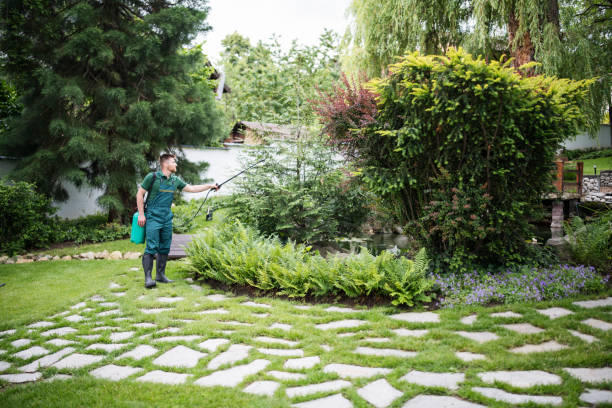 Best Best Pest Control Companies  in Murrieta, CA